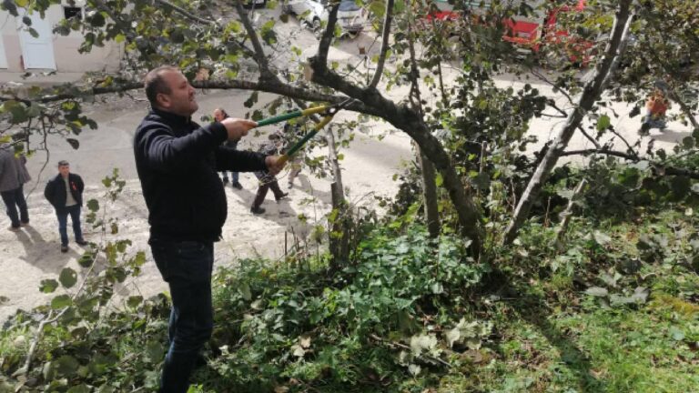 Espiye’de üreticilere fındıkta budama eğitimi verildi