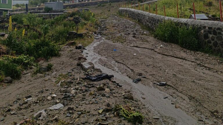 Ardahan’da sağanak nedeniyle köy yolları zarar gördü