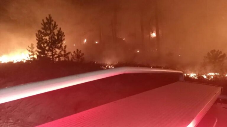 Yatağan’da orman yangını – Son Dakika Türkiye Haberleri